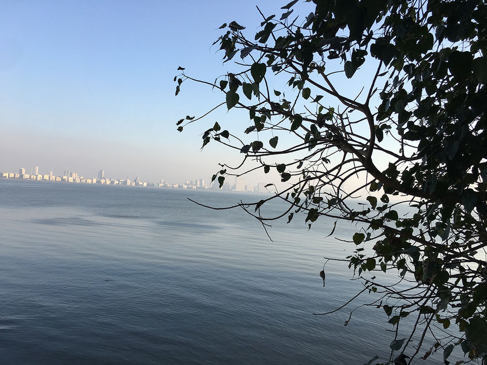 Photo of #TripotoCyclesToGoa - Cycling in a metropolitan like Mumbai- risky or fun? 1/5 by vidhi bubna