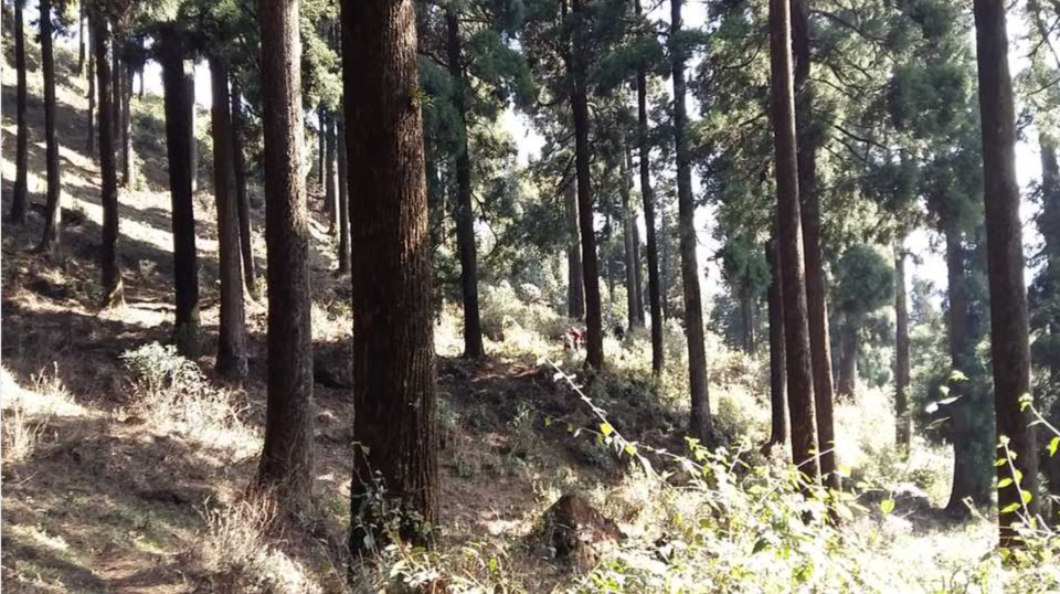 Photo of What should trekkers chase: Altitude or distance? 1/3 by vidhi bubna