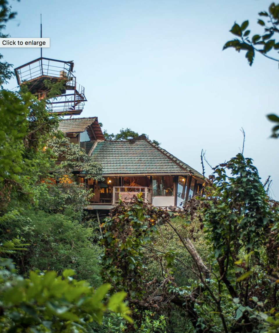 Photo of The rooms of this hotel will stun you, they are floating on trees, an amazing escapade awaits you 1/1 by vidhi bubna