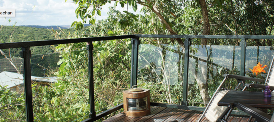 Photo of The rooms of this hotel will stun you, they are floating on trees, an amazing escapade awaits you by vidhi bubna