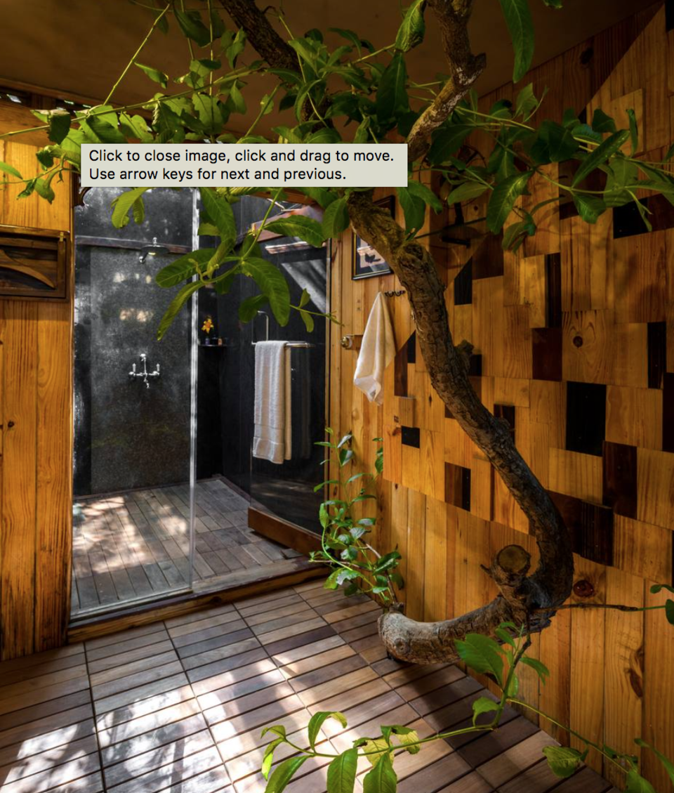 Photo of The rooms of this hotel will stun you, they are floating on trees, an amazing escapade awaits you by vidhi bubna