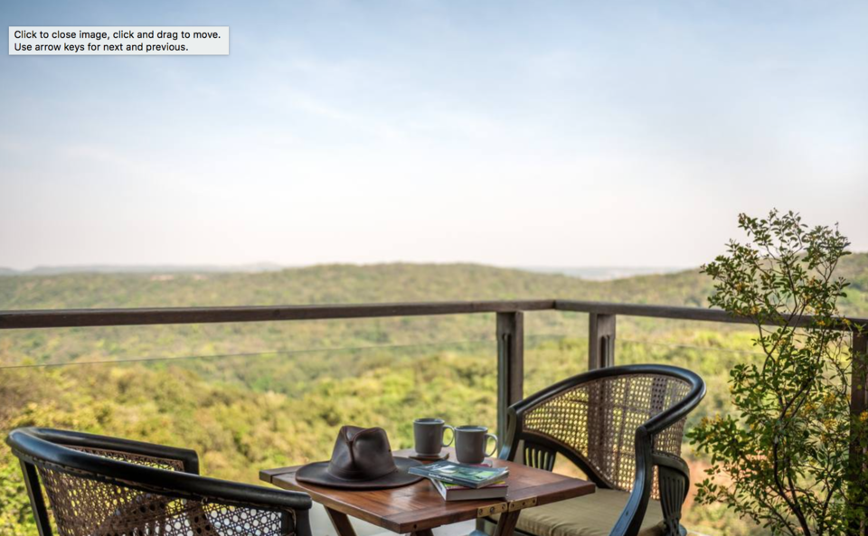 Photo of The rooms of this hotel will stun you, they are floating on trees, an amazing escapade awaits you by vidhi bubna