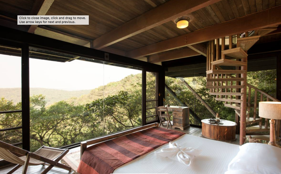 Photo of The rooms of this hotel will stun you, they are floating on trees, an amazing escapade awaits you by vidhi bubna