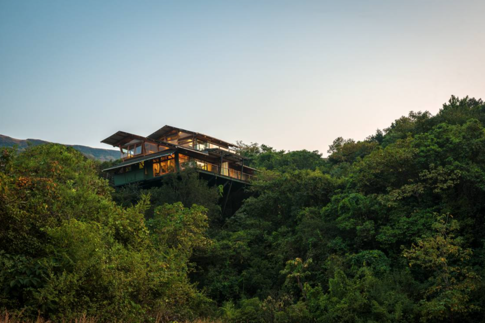 Photo of The rooms of this hotel will stun you, they are floating on trees, an amazing escapade awaits you by vidhi bubna