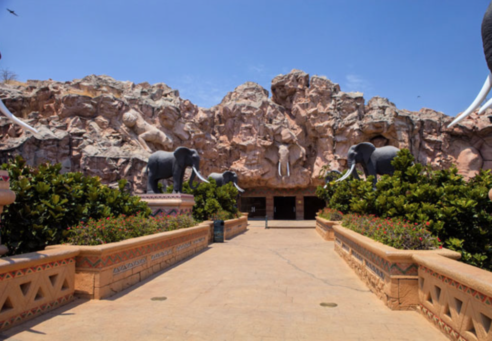 Photo of 5 things that you have to do in South Africa to make the most of it 2/5 by vidhi bubna