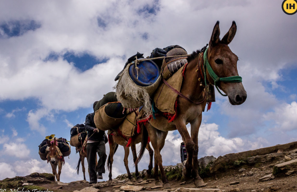 Photo of An unrhythmic poem about my first trek by vidhi bubna