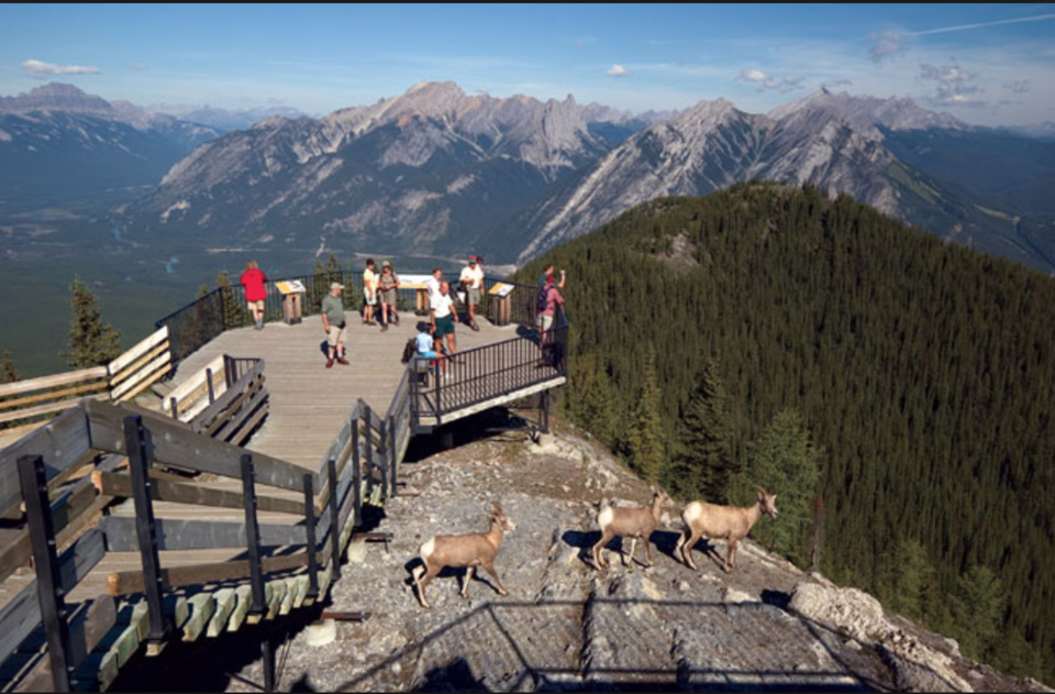 Photo of Tunnel Mountain Resort, Banff, AB, Canada by vidhi bubna