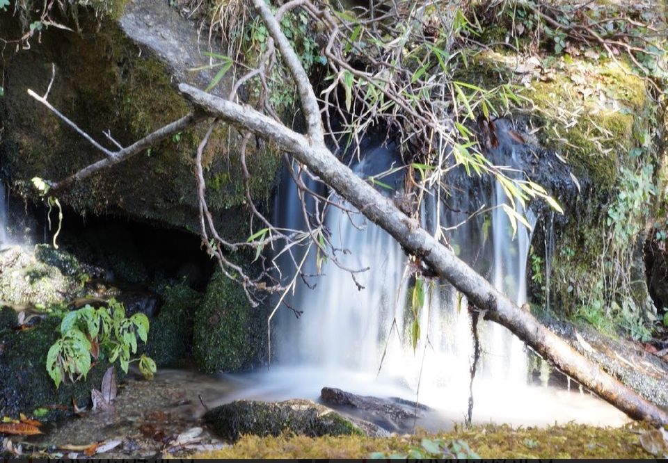 Photo of It wasn't a trek, it was an experience at Brahmatal with Indiahikes - Day 1 by vidhi bubna