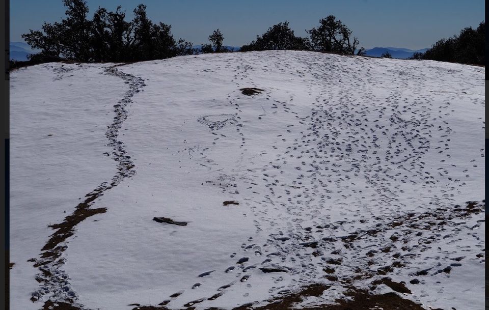 Photo of I still shudder when I remember the time when my mother almost hit AMS on the mountain - Brahmatal by vidhi bubna