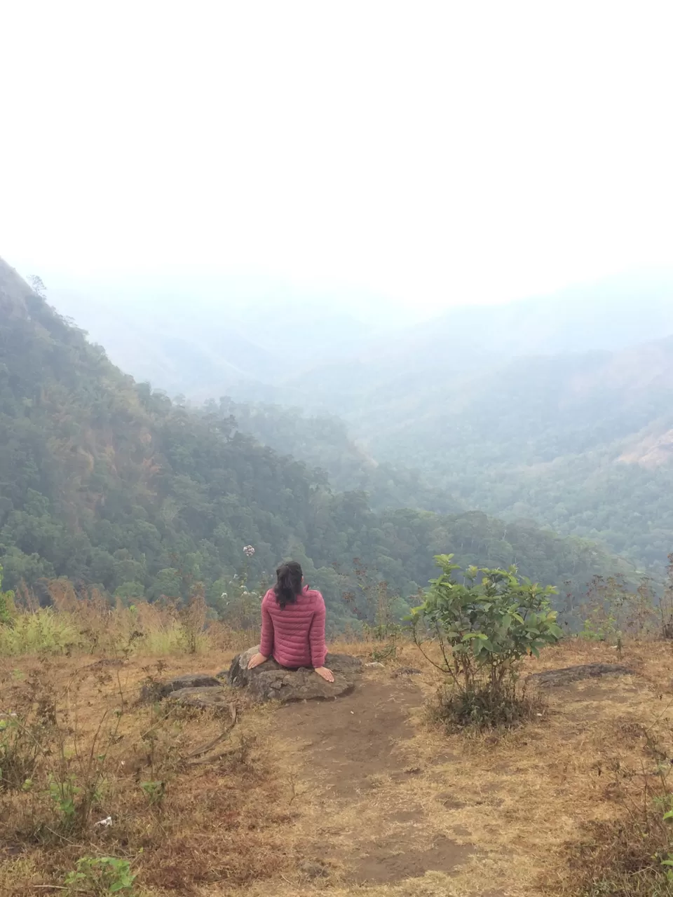 Photo of Manjumala by Diksha Chawla