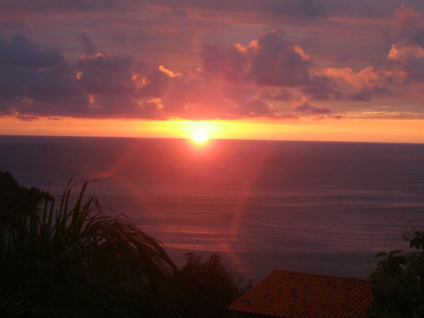 Photo of Manuel Antonio – A Dream Land for Vacation 3/3 by Casa Panorama