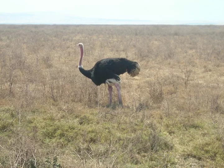 Photo of ‘Jambo!’ Tanzania by Neha Kirpal