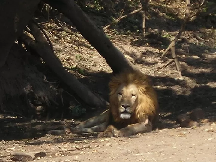 Photo of ‘Jambo!’ Tanzania by Neha Kirpal