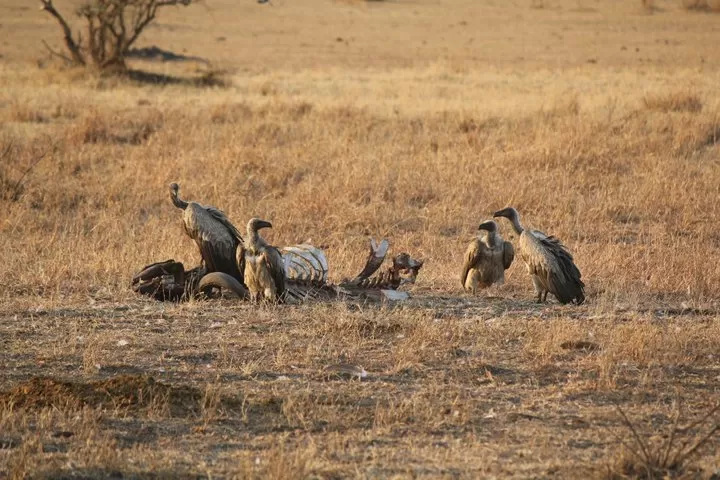 Photo of ‘Jambo!’ Tanzania by Neha Kirpal