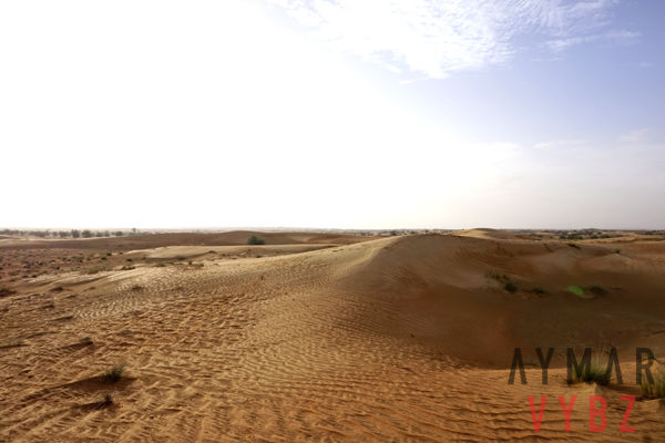Photo of Dubai - United Arab Emirates by Anil