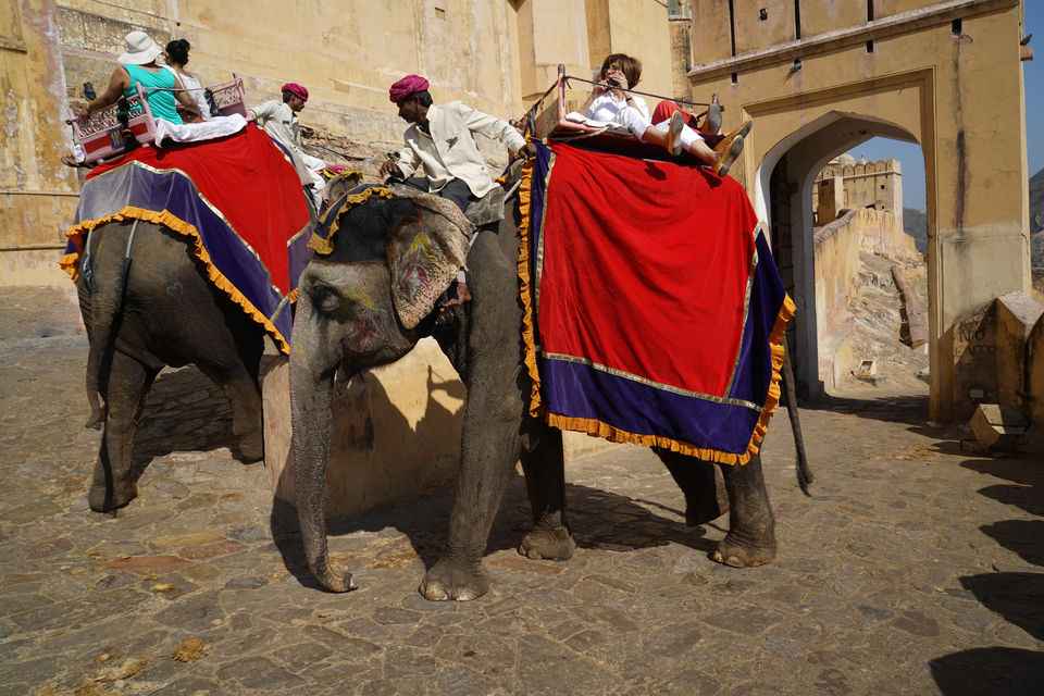 Photo of Hues of Rajasthan&nbsp; 13/25 by Sameer Ashraf