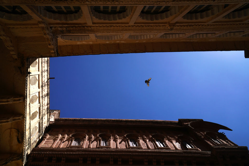 Photo of Hues of Rajasthan&nbsp; 14/25 by Sameer Ashraf