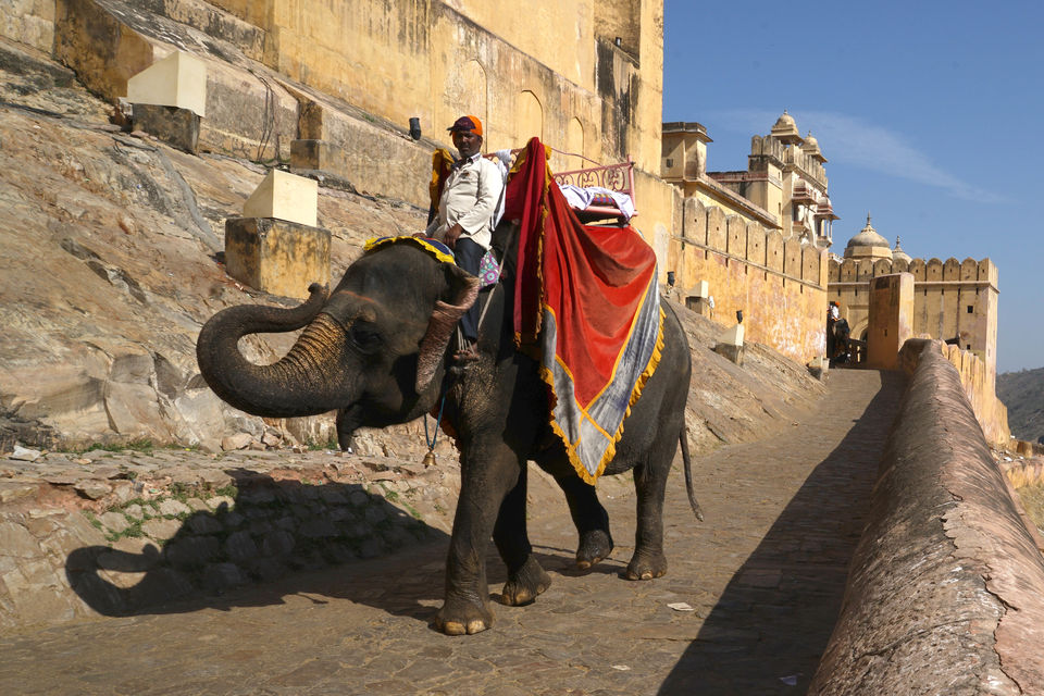 Photo of Hues of Rajasthan&nbsp; 16/25 by Sameer Ashraf
