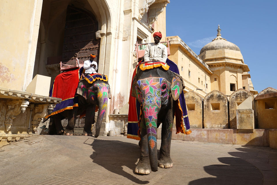 Photo of Hues of Rajasthan&nbsp; 25/25 by Sameer Ashraf