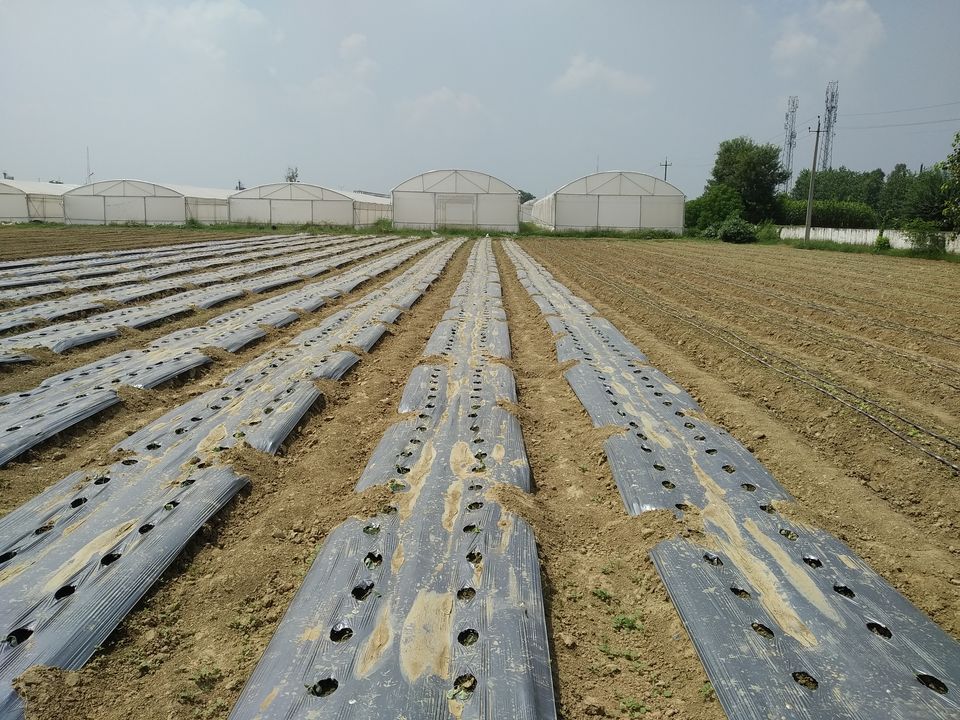 Photo of Centre of Excellence ,Karnal Haryana 6/8 by Rohit Verma