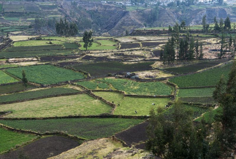 Photo of Culture & Adventure: Traveling In Peru 3/8 by Lydian