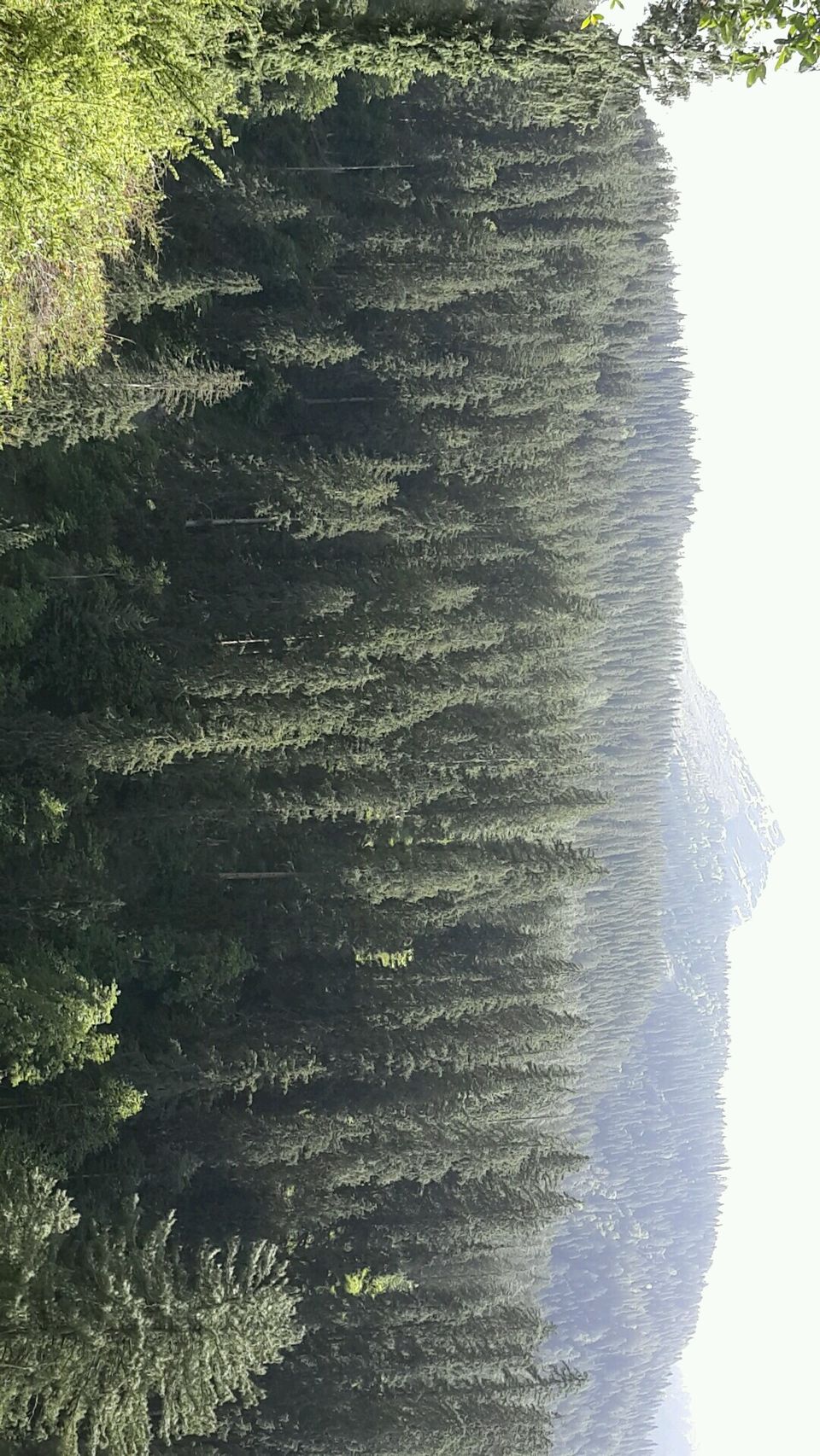 Photo of KASOL & OLD MANALI 1/2 by Ajinkya Phalke