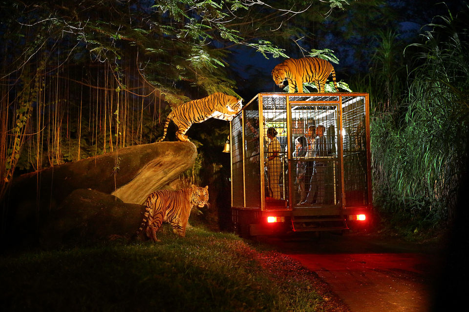 Photo of Tourist Attractions in Singapore 1/1 by traveller