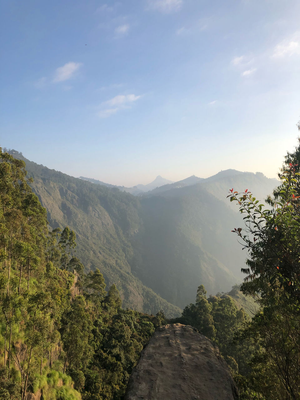 Photo of Hidden Gem in palani hills by Raviraj Dasari