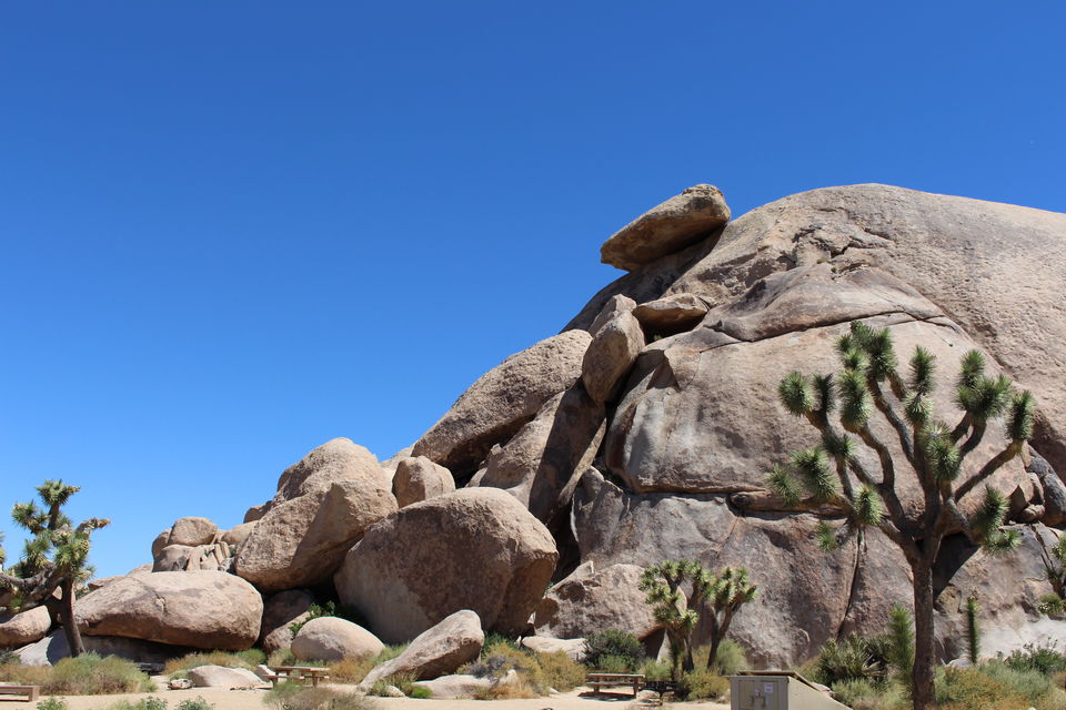 Photo of Need a Date? Take a California road trip to get a date. (Palm Springs, Joshua Tree & Big bear Lake) by christinacolney
