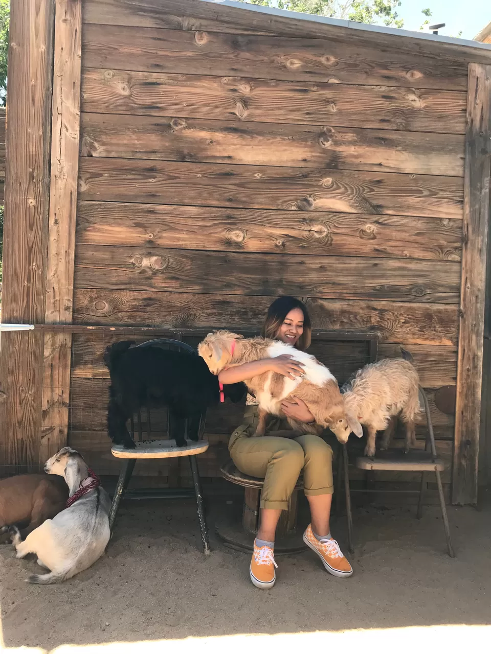 Photo of Pioneertown, CA, USA by christinacolney