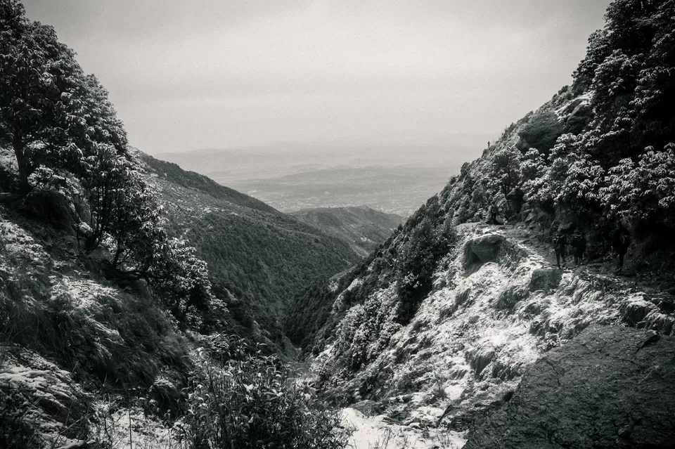Photo of Triund Trek Trail, Trail to Triund Hill, Dharamshala, Himachal Pradesh, India by Shourya Sengar