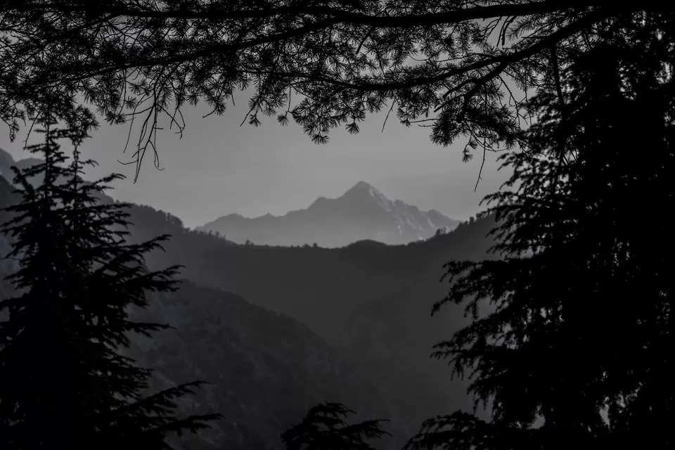 Photo of Dharmkot, Punjab, India by Shourya Sengar