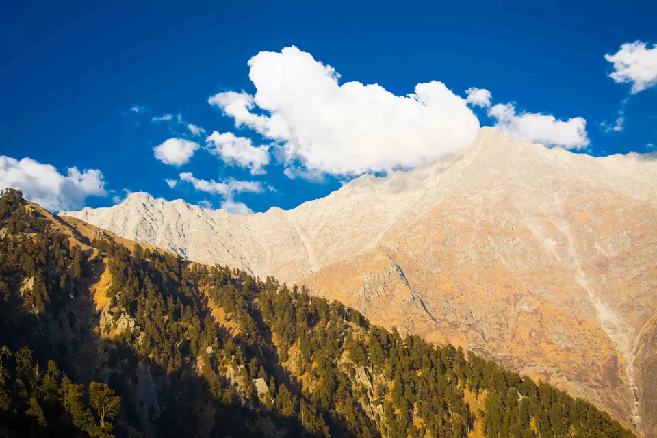 Photo of Triund Hill, Kangra, Himachal Pradesh, India by Shourya Sengar