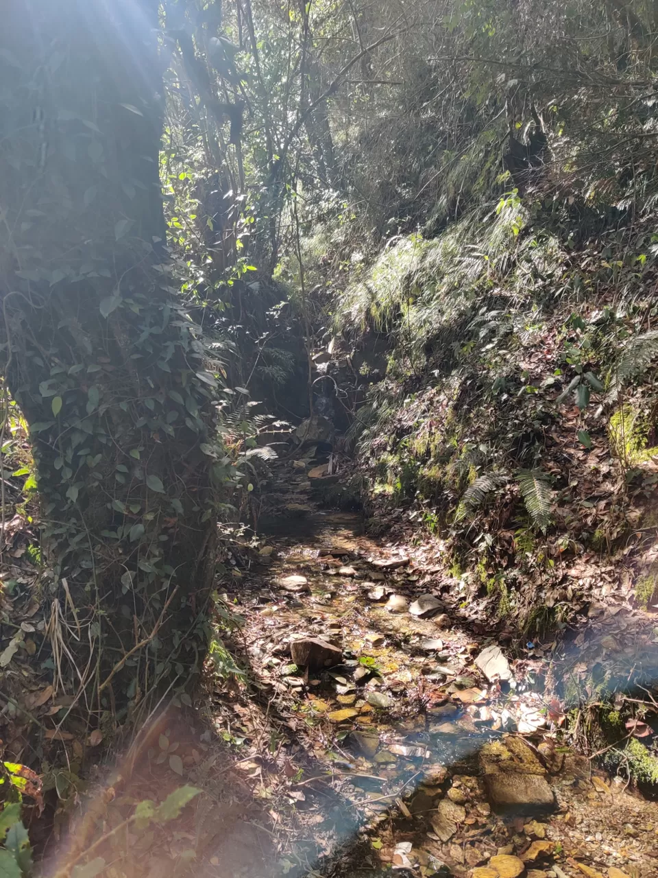 Photo of Hike in the Kumaon Hamlets of Gehna by The HodoPillais