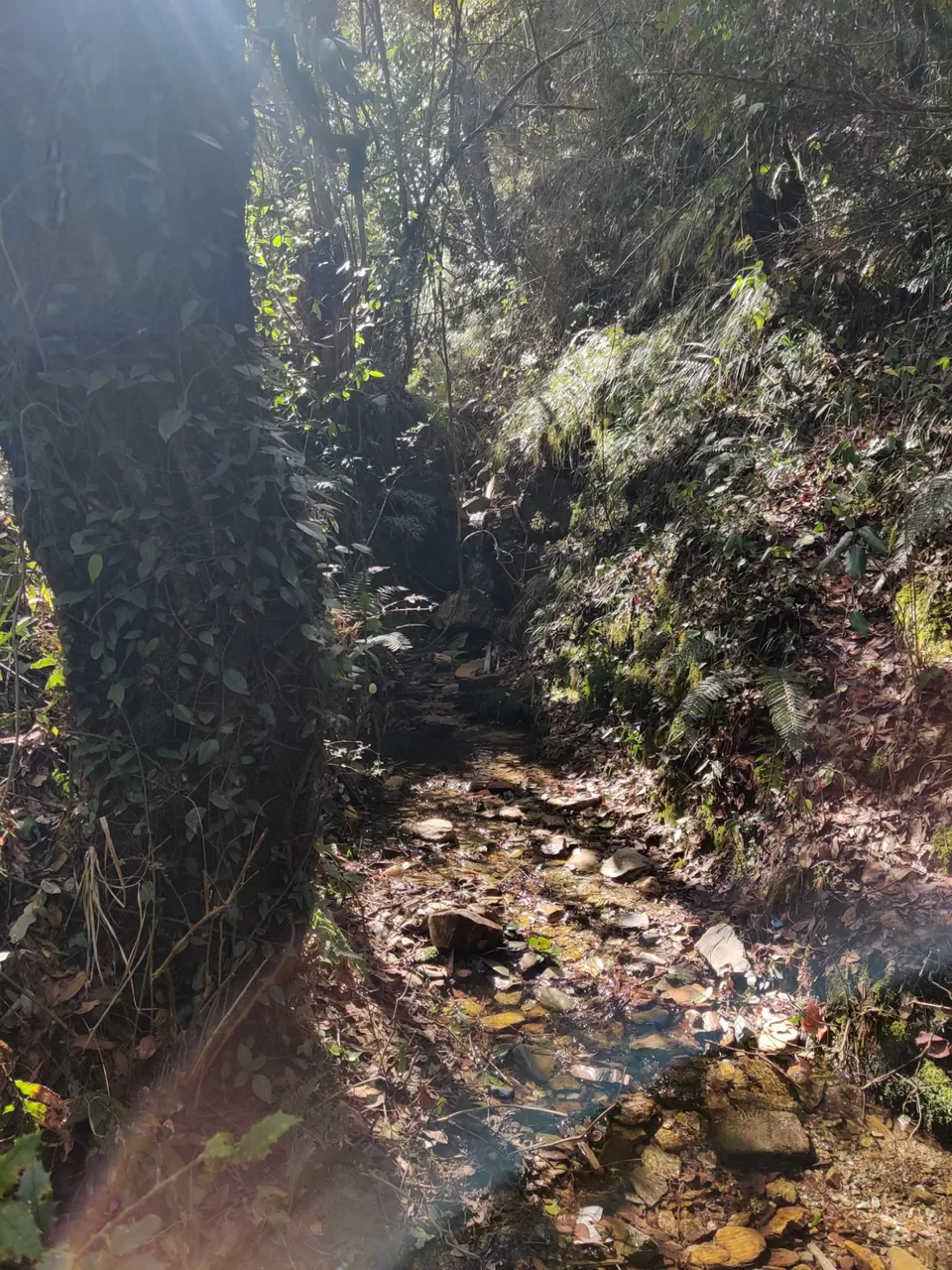 Photo of Hike in the Kumaon Hamlets of Gehna by The HodoPillais