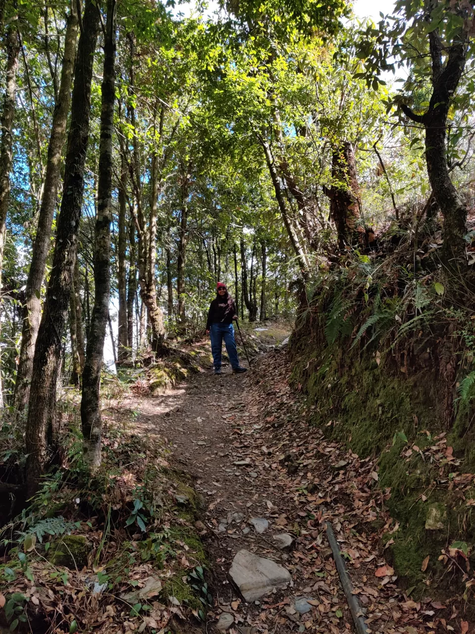 Photo of Hike in the Kumaon Hamlets of Gehna by The HodoPillais