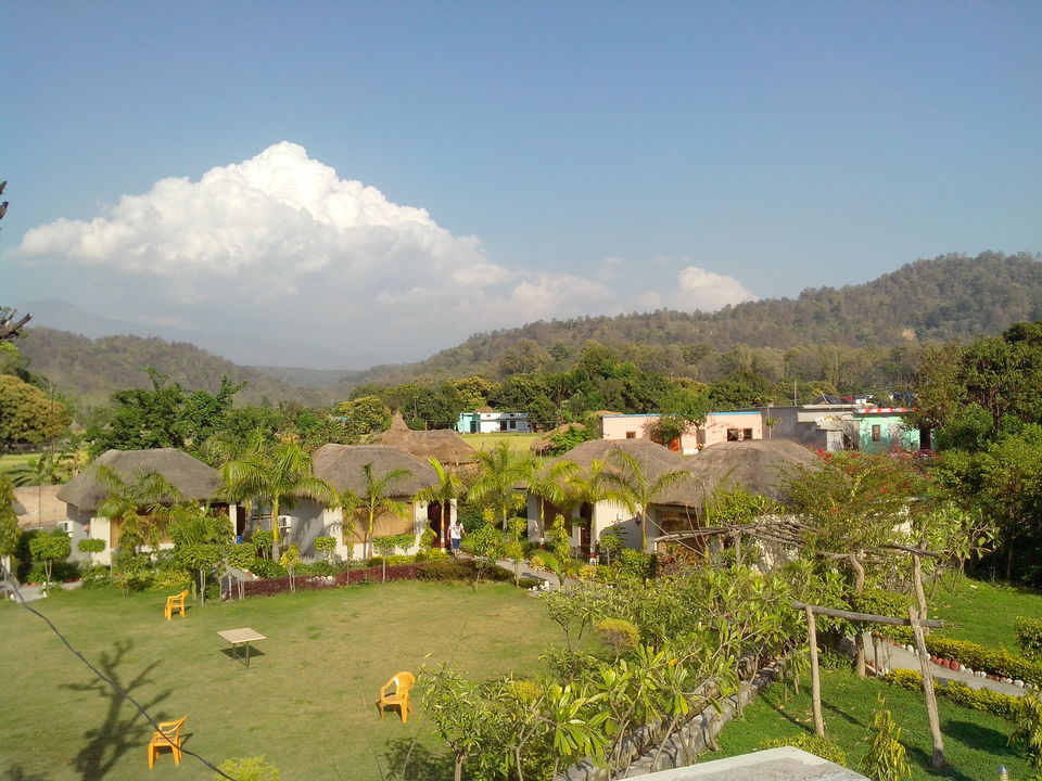 Photo of Jim Corbett National Park, Ramnagar, Uttarakhand, India by Nikhil Aggarwal