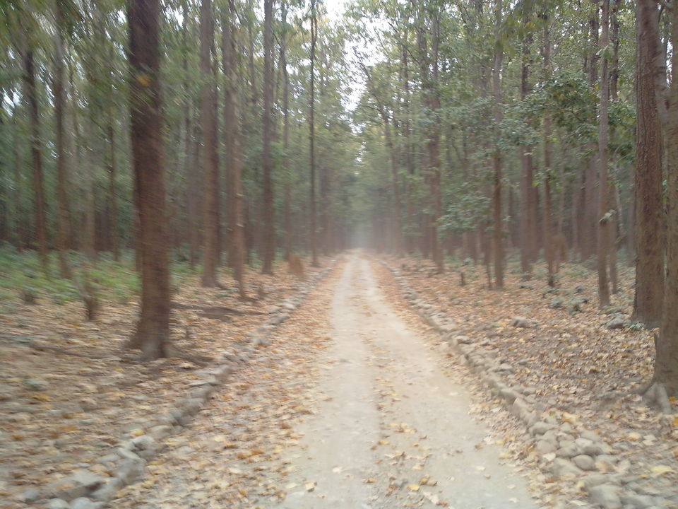 Photo of Jim Corbett : The ride you won't forget by Nikhil Aggarwal