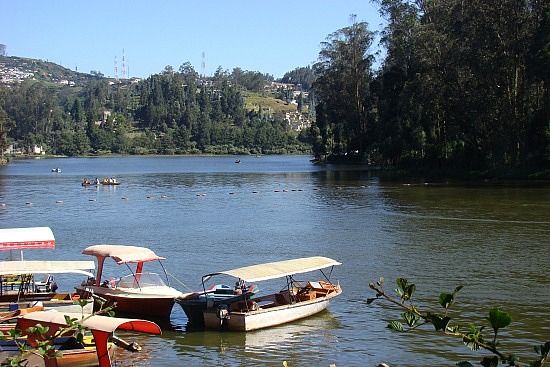Photo of A Gem just 6 hr drive away from Bengaluru : Ooty by Nikhil Aggarwal