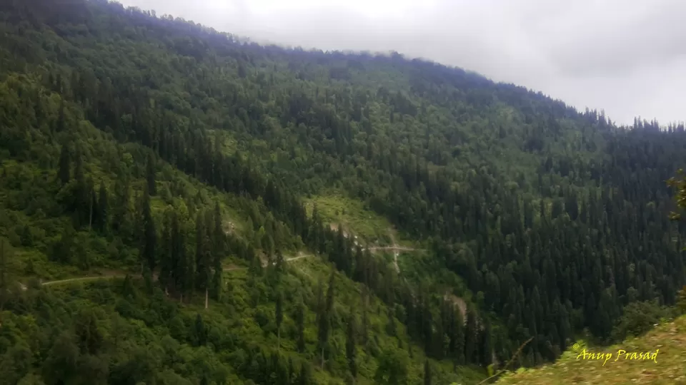 Photo of Sach Pass: Road Less Travelled by Madhuree