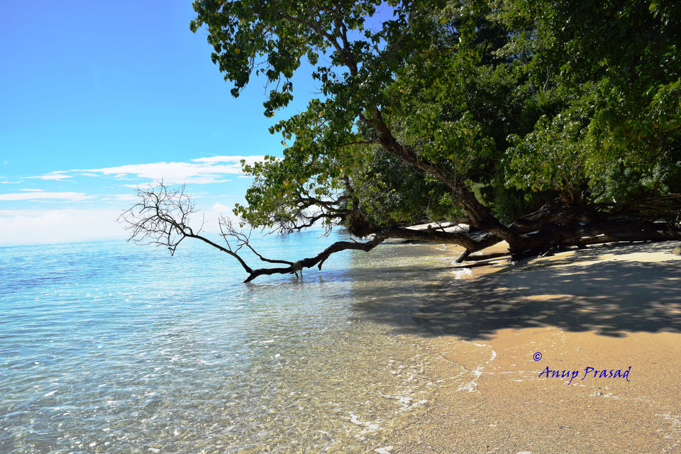 Photo of The Andaman: Rendezvous with Indian Archipelago 1/3 by Madhuree