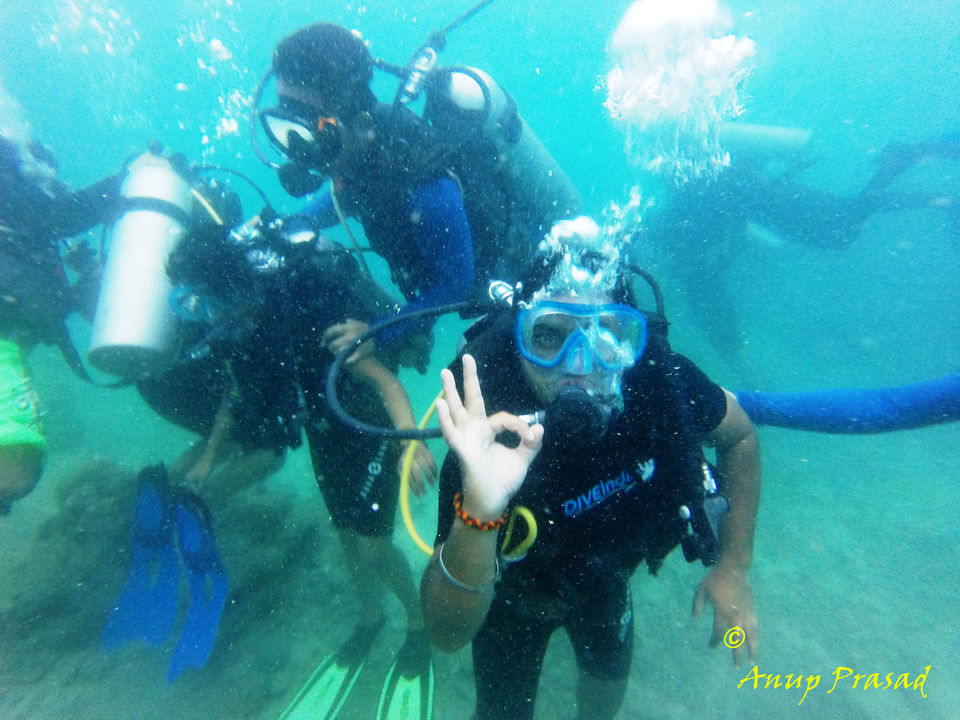 Photo of The Andaman: Rendezvous with Indian Archipelago by Madhuree