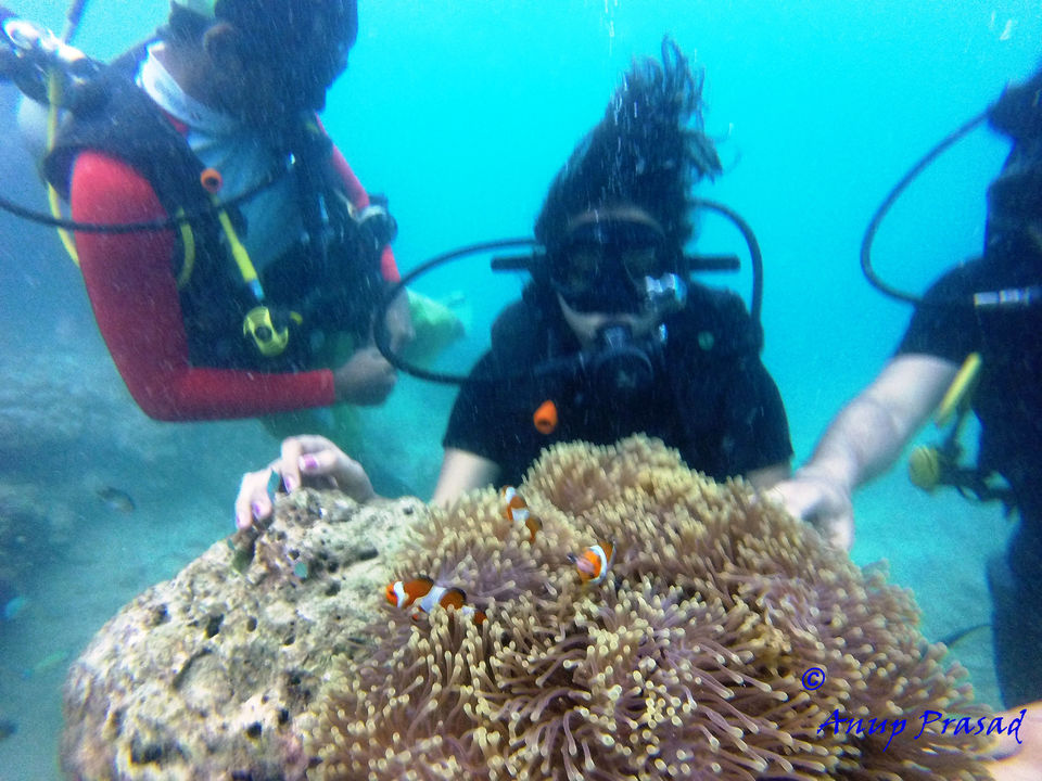 Photo of The Andaman: Rendezvous with Indian Archipelago by Madhuree