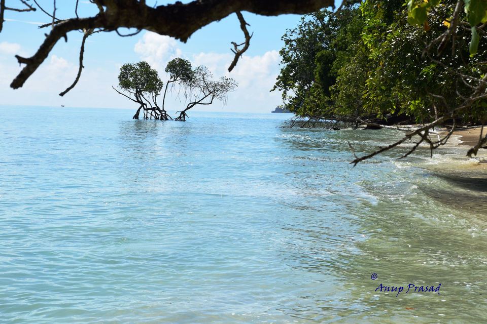 Photo of Kala Pathar Beach, South Andaman, Andaman and Nicobar Islands, India by Madhuree