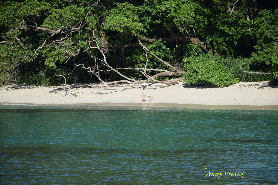 Photo of Radhanagar Beach, Andaman and Nicobar Islands, India by Madhuree