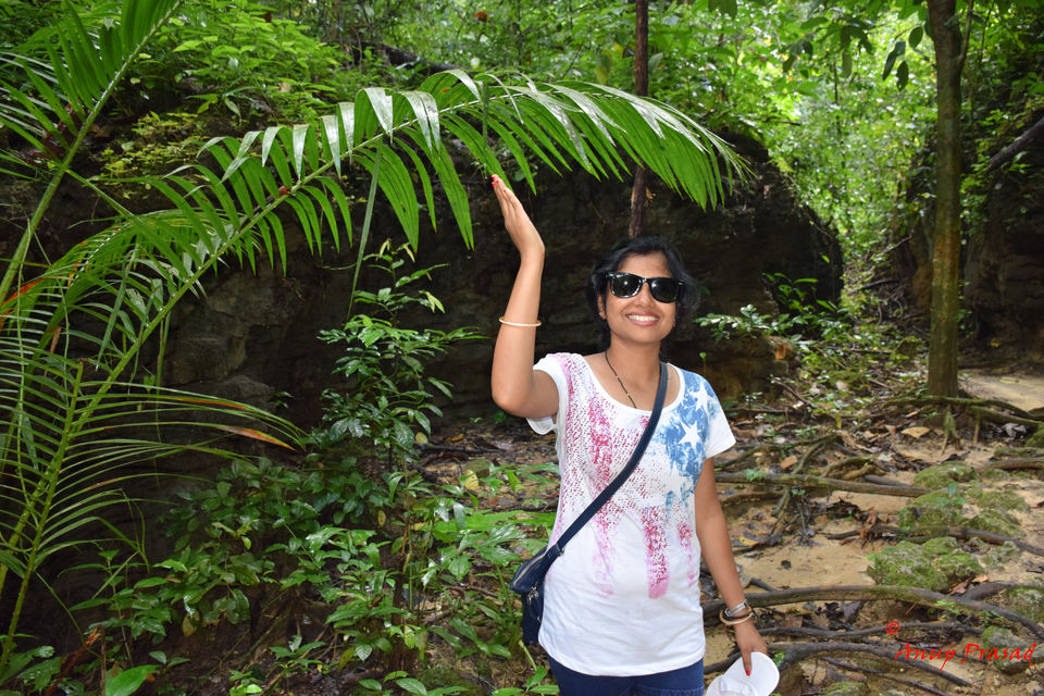 Photo of Baratang Lime Stone Caves, South Andaman, Andaman and Nicobar Islands, India by Madhuree