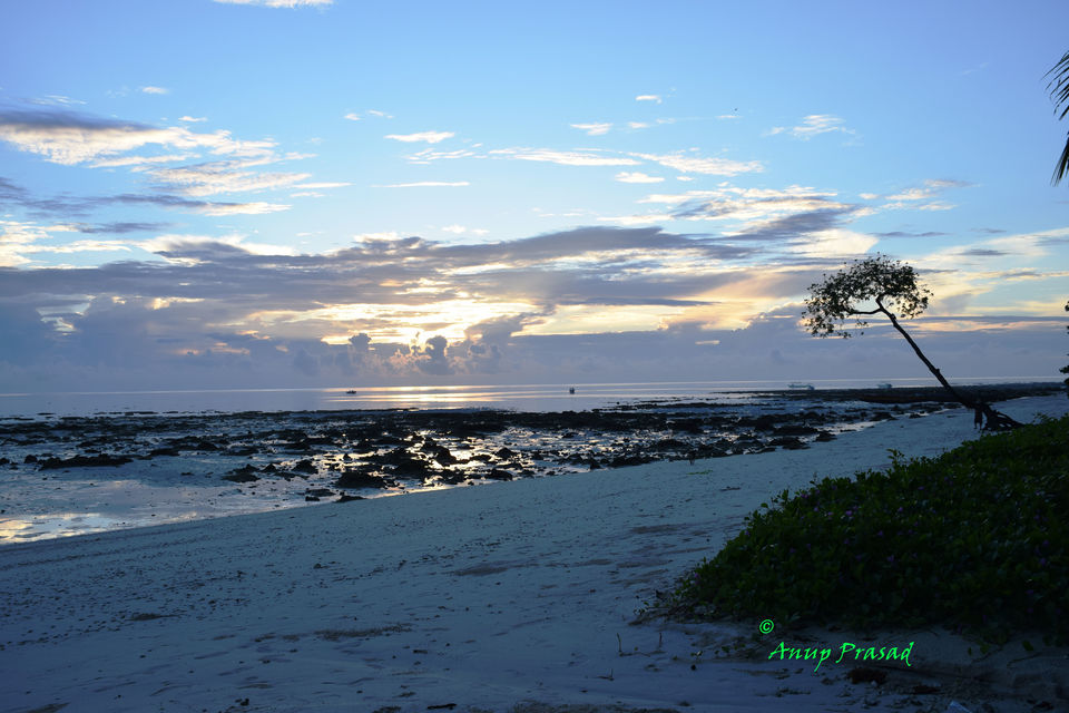 Photo of Chidiya Tapu, South Andaman, Andaman and Nicobar Islands, India by Madhuree
