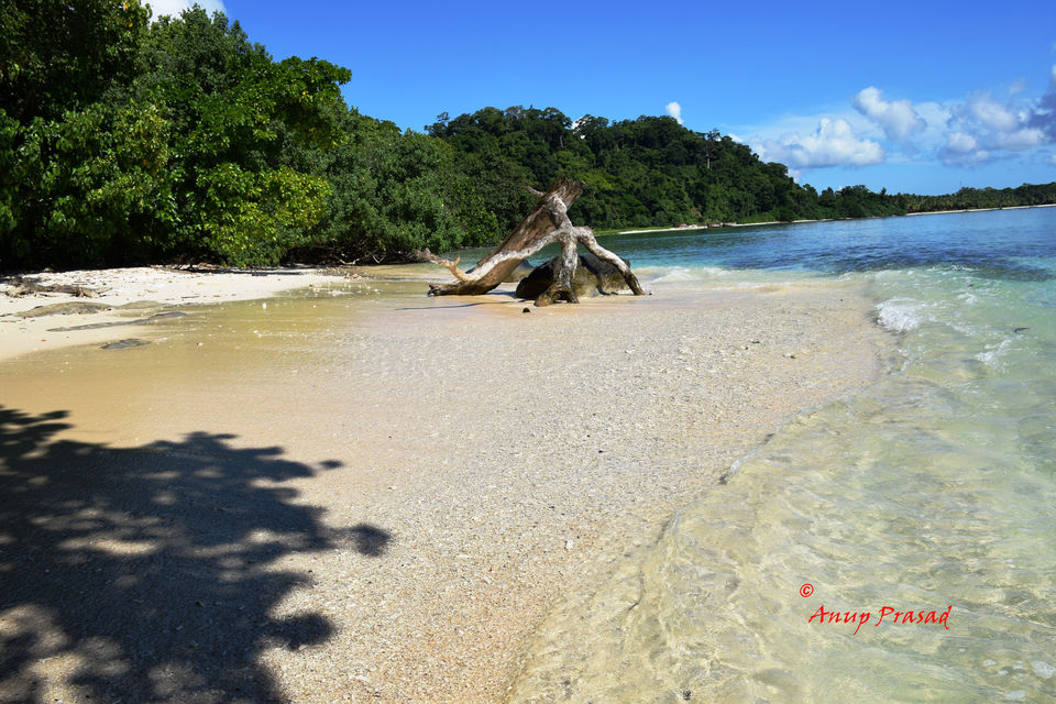 Photo of The Andaman: Rendezvous with Indian Archipelago 2/3 by Madhuree