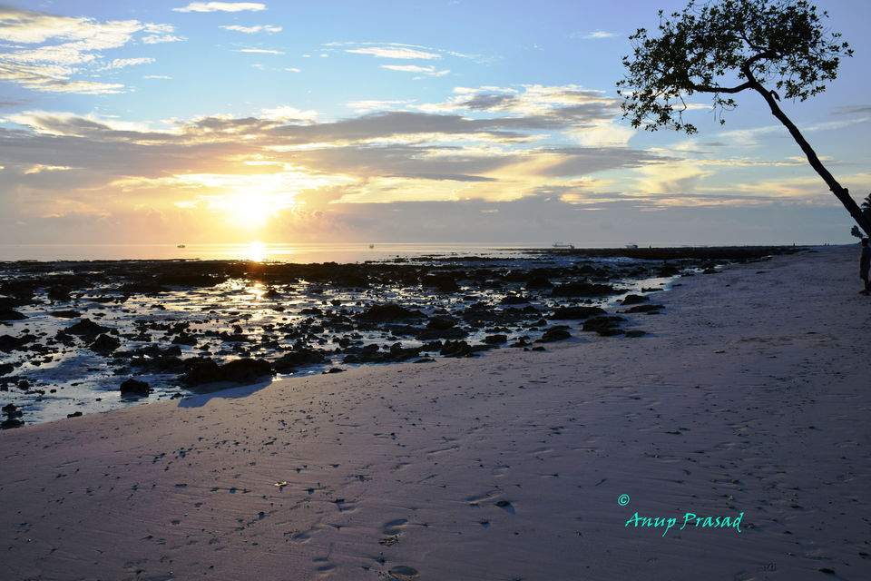 Photo of The Andaman: Rendezvous with Indian Archipelago 3/3 by Madhuree