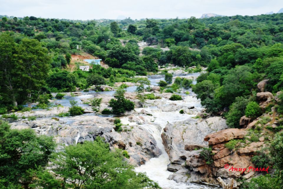 Photo of Chunchi Falls, Madarahalli, Karnataka, India by Madhuree